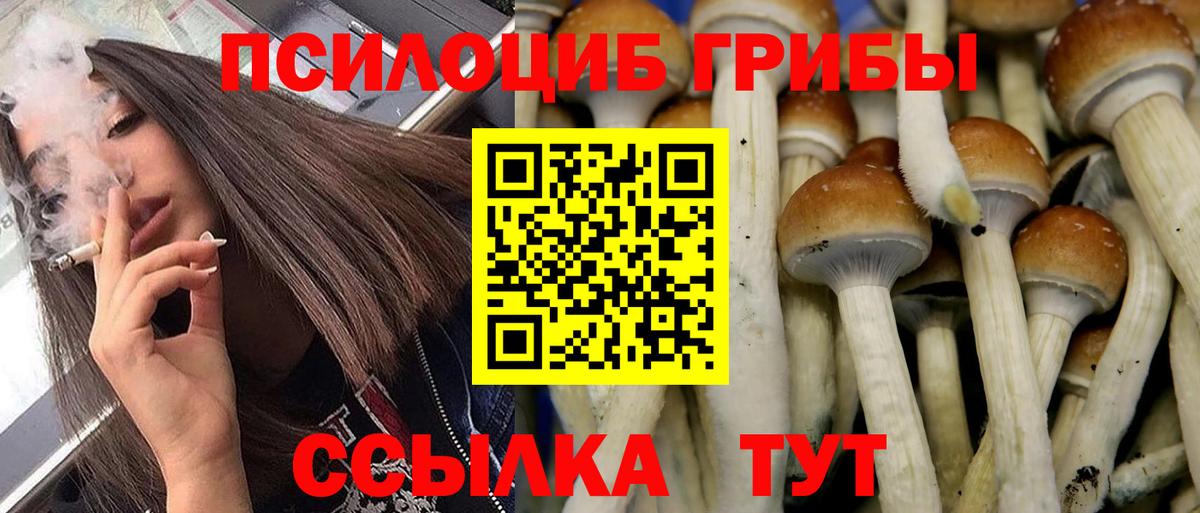 Амфетамин Александров