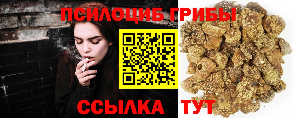 Псилоцибиновые грибы Cubensis Александров